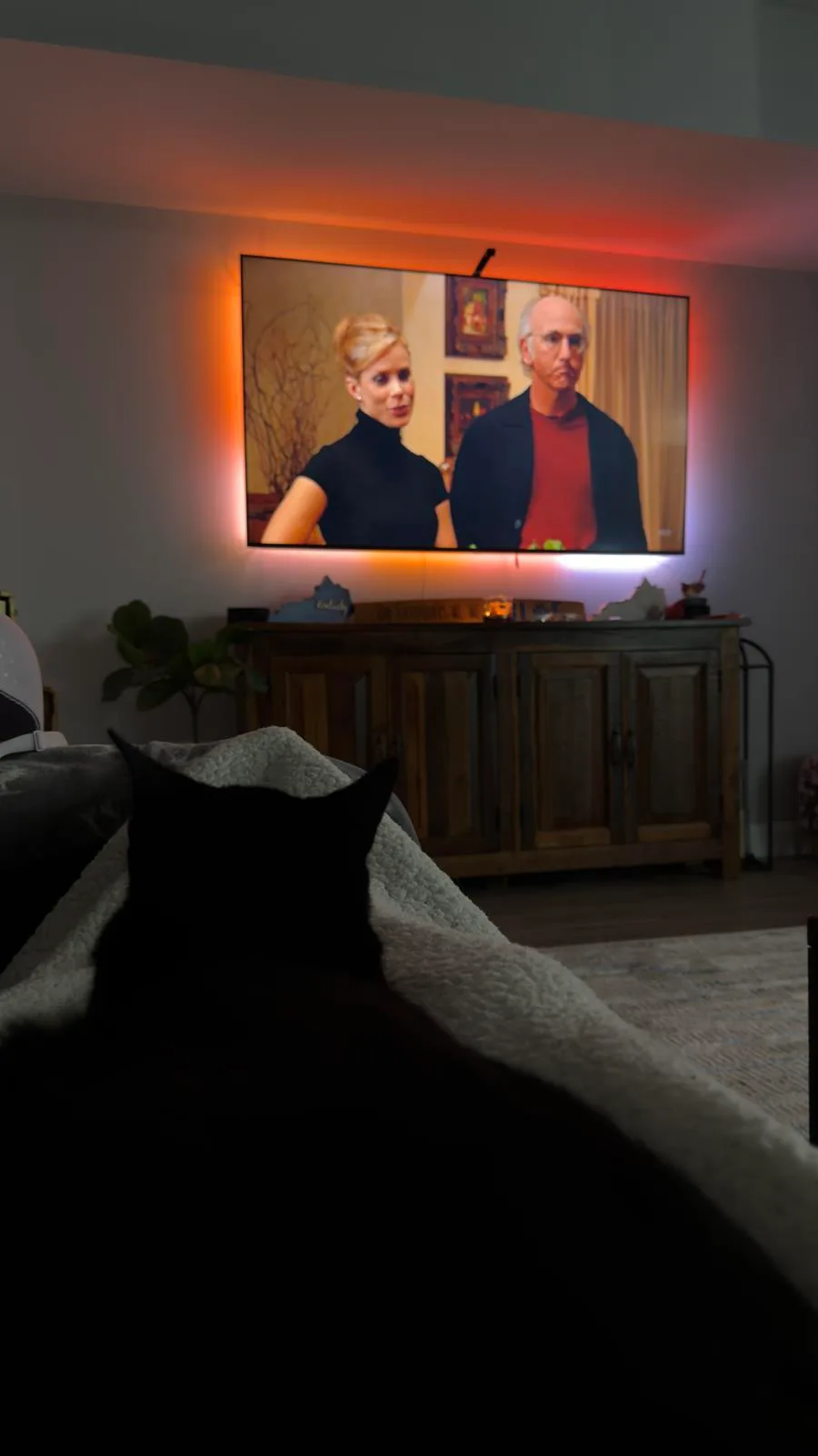 Nerissa sitting on the couch watching Curb Your Enthusiasm with her cat nearby, introducing the Inside Chiro Connect section.