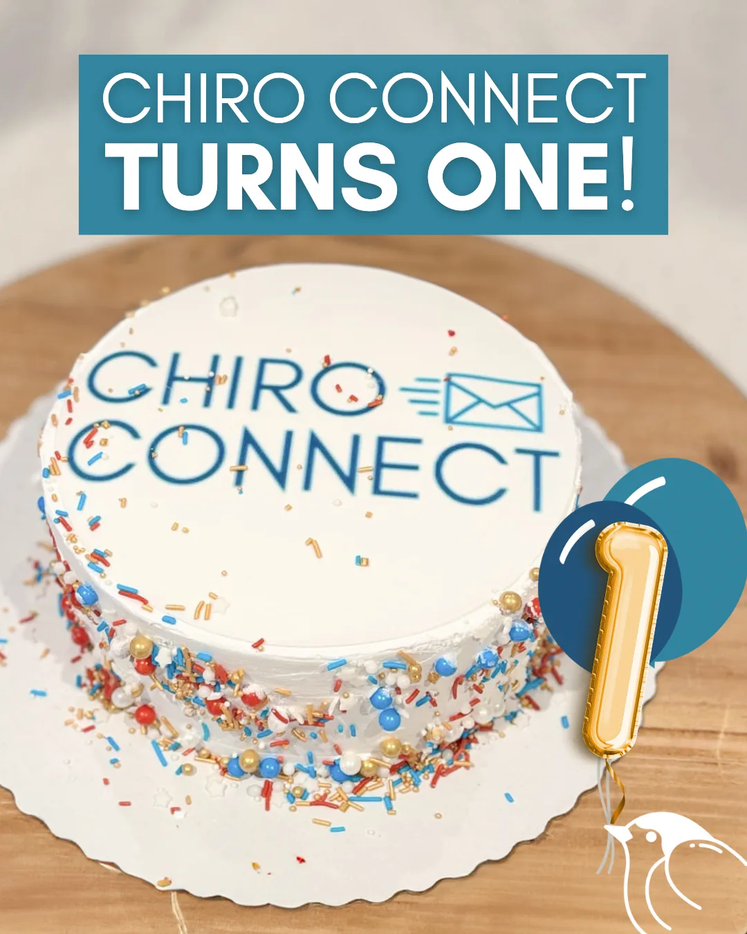 A photo of Chiro Connect's birthday cake.