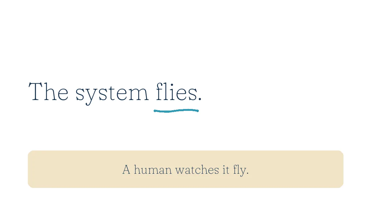 The system flies. A human watches it fly.