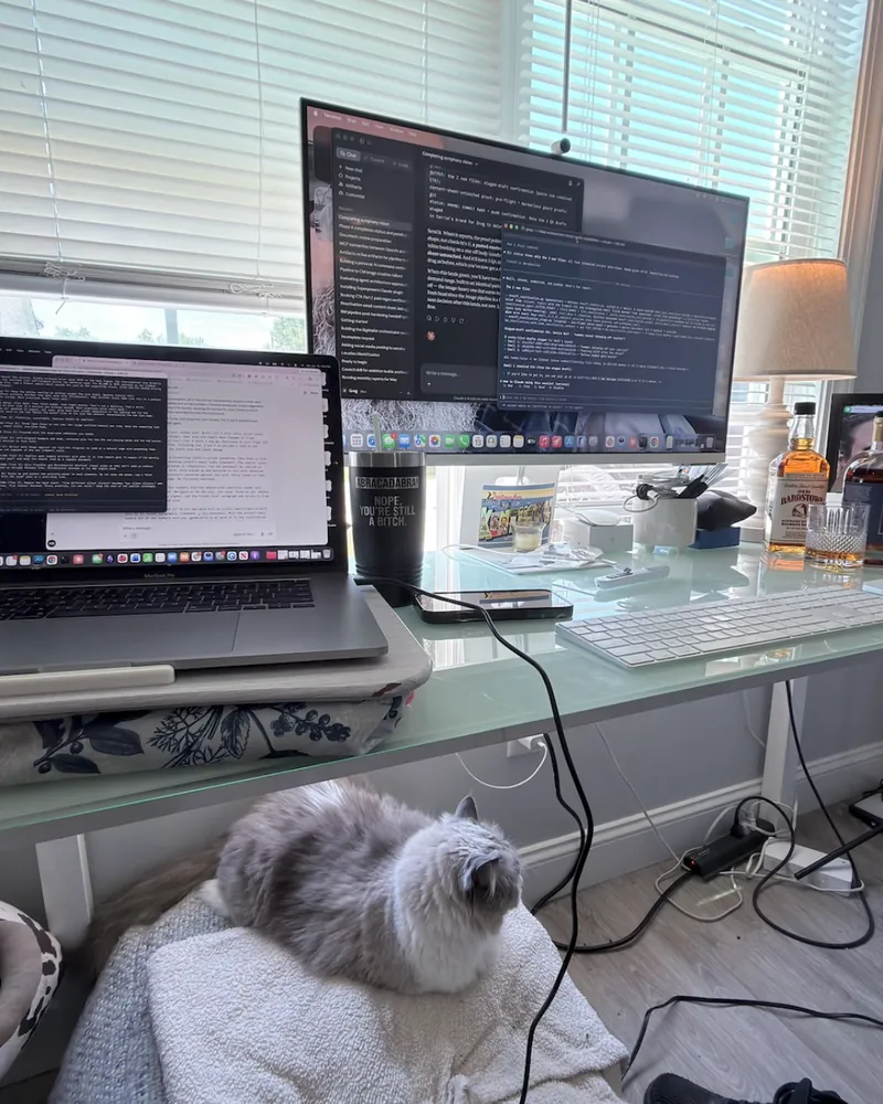 Nerissa's laptop on a lap pillow at the corner of a glass desk next to Greg's monitor, with a gray cat curled up underneath.