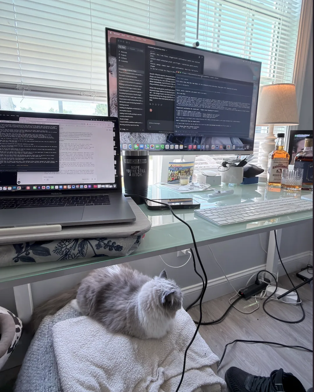 A two-screen desk running Claude, with Berlioz the cat curled up on a blanket underneath.